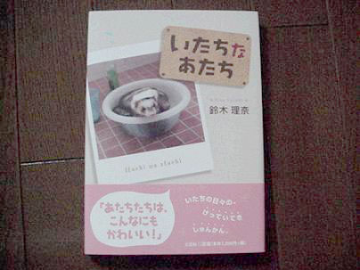フェレットの本・いたちなあたち