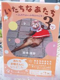 フェレットの本・いたちなあたち３