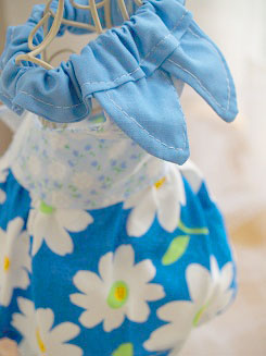 フェレットの洋服・おっきな襟・レトロなお花・ぜんぶ青１