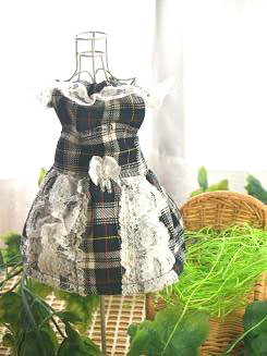 フェレットの服・チェック・緑のレース１