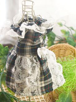 フェレットの服・チェック・緑のレース２