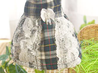 フェレットの服・チェック・緑のレース３