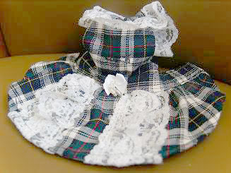 フェレットの服・チェック・緑のレース４