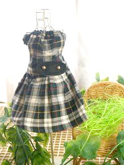 フェレット服・チェック・緑１