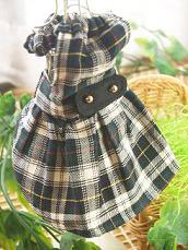 フェレット服・チェック・緑２