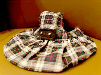 フェレット服・チェック・緑３