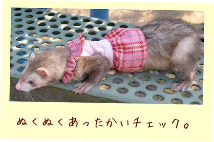 フェレットの服・ピンクぬくぬく襟つきチェック・フェレット