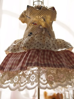 フェレットの洋服・服・お姫様・ふりふり動物園