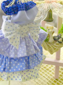 フェレットの洋服・服・お姫様・ふりふり水玉・青１