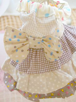 フェレットの洋服・服・お姫様・ふりふり水玉・茶色１