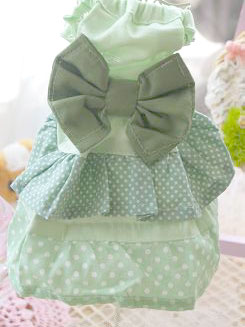 フェレットの洋服・服・お姫様・ふりふり水玉・緑１