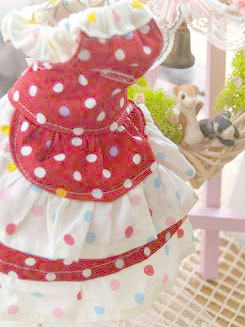フェレットの洋服・服・お姫様・ふりふり水玉・赤白１