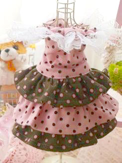 フェレットの洋服・ふりふり・水玉・ピンク茶色