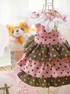 フェレットの洋服・ふりふり・水玉・ピンク茶色