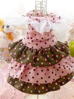 フェレットの洋服・ふりふり・水玉・ピンク茶色