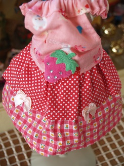 フェレットの洋服・服・お姫様・いちごリボンのふりふり