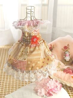 フェレット洋服・女の子のカントリーレース１