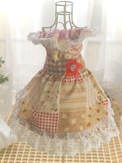 フェレット洋服・女の子のカントリーレース２