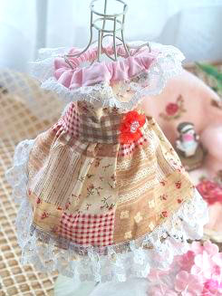 フェレット洋服・女の子のカントリーレース３