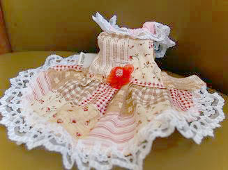 フェレット洋服・女の子のカントリーレース４