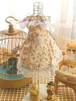 フェレットの洋服・生成りのレースに３つのリボン３