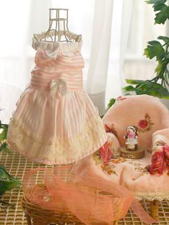 フェレット洋服・襟付きピンクのストライプ１