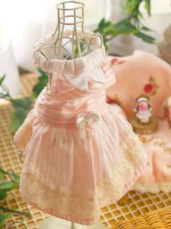 フェレット洋服・襟付きピンクのストライプ２