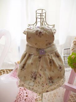 フェレット洋服・紫花のシンデレラ１