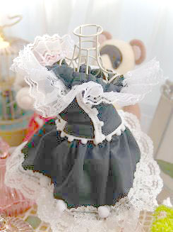 フェレット洋服・流れるレースの縁取り・黒に白３