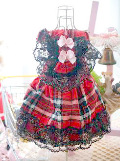 フェレット洋服・回る黒金レース・赤４