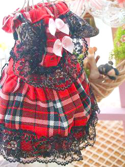 フェレット洋服・回る黒金レース・赤５