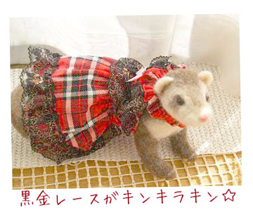 フェレット洋服・回る黒金レース・赤８