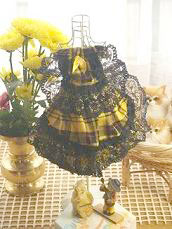 フェレット洋服・回る黒金レース・黄色１