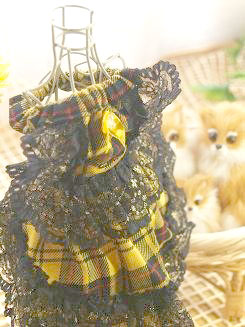 フェレット洋服・回る黒金レース・黄色２