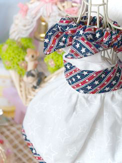 フェレット洋服・アメリカ里帰り・紺３