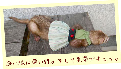 フェレット服・緑のボーダーに黒帯・フェレット１