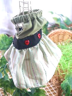 フェレット服・緑のボーダーに黒帯１