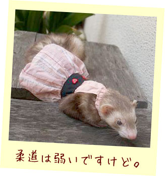 フェレット服・ピンクのボーダーに黒帯・フェレット２