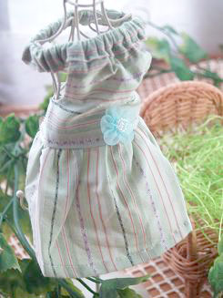 フェレット服・緑のボーダーに青いお花１