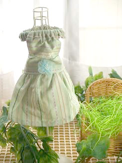 フェレット服・緑のボーダーに青いお花２