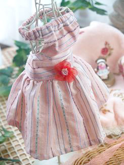 フェレット服・ピンクのボーダーに赤いお花１