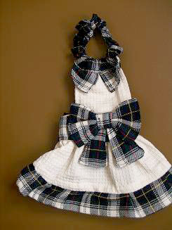 フェレット洋服・プレゼント緑１