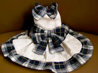 フェレットの服・プレゼント緑２