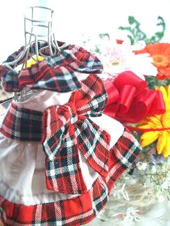 フェレットの服・フェレット洋服・プレゼント赤２