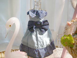 フェレットの服・小さな水玉リボン・青１