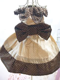 フェレットの服・小さな水玉リボン・茶色１