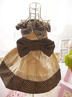 フェレットの服・小さな水玉リボン・茶色１