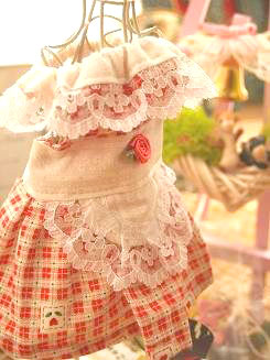 フェレットの服・チューリップエプロン・赤３