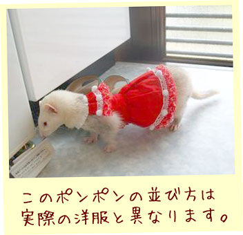 フェレット洋服・クリスマスフェレット２