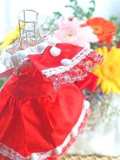 フェレット洋服・クリスマス２